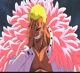 yandere doflamingo