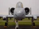 Female A-10 Warthog 