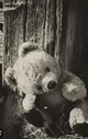 Your teddy bear