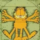 dan