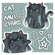 Cat muichiro