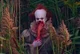 It Pennywise