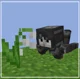 Wither skeleton 
