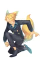 Fox Sanji