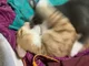 Horror movie