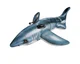 Intex shark float