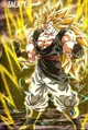 Broly SSJ3