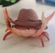 Cowboy crab