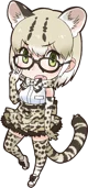 Margay