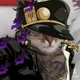 Meowtaro kujo 