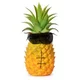 Jerry the pineapple 