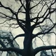 The Hanging Tree 