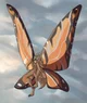Mothra