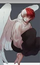 Angel Todoroki