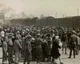 Survive 1939-1945