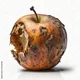 rotten apple
