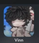 vinn