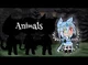 Animals GLMV