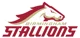 Birmingham Stallions