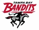 Tampa Bay Bandits 