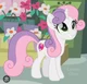 Sweetie Belle