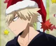 Katsuki Bakugou 