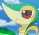 Diffrent Snivy