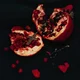 SONG Vampire
