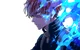 Shoto Todoroki