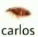 carlos
