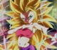 Caulifla ssj3