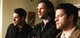 Team Free Will