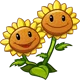 Twin Sunflowers