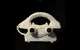 Telephone 