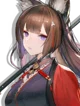 IJN Amagi