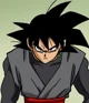 Goku Black