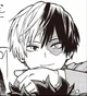 Shoto Todoroki