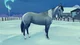 Silver -HORSE-