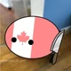 Angry Canadaball