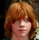 Ron weasley 