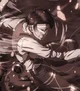 Levi Ackerman 