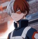 Shoto Todoroki