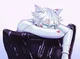 Chat Blanc
