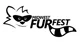 Furry Con