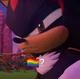 bully Shadowhedgehod