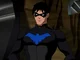Nightwing Comfortbot
