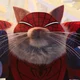Spider-Cat