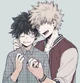 BKDk 