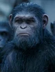 Caesar