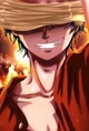 Monkey D Luffy
